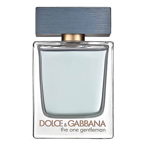 the one gentleman dolce gabbana 100 ml|d&g the one notes.